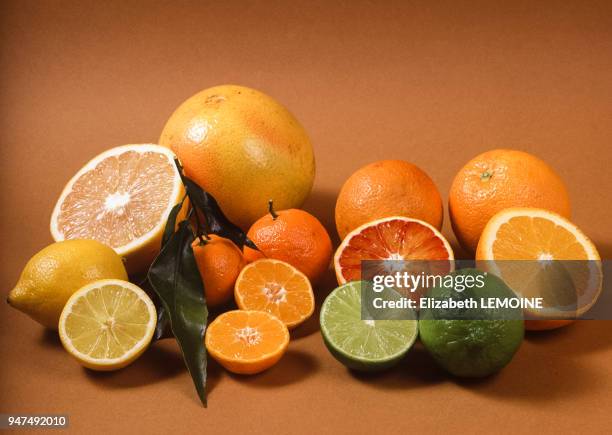 Présentations d'agrumes: oranges, clémentines, citrons, pamplemousses.