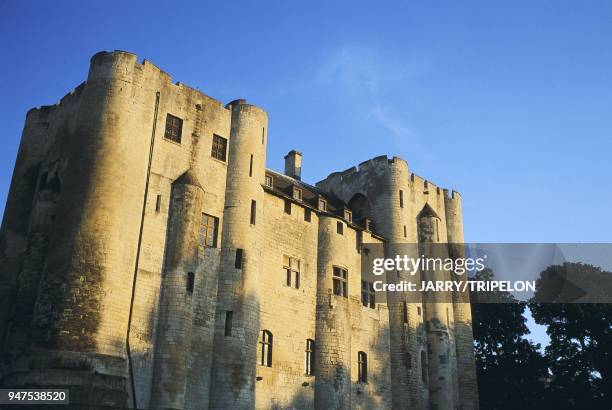 Donjon, Niort, Deux-S?vres, r?gion Poitou Charentes, France.