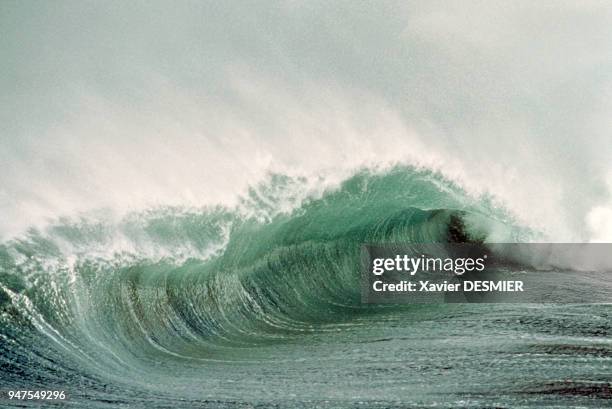 France, Crozet Archipelago . A storm with winds out of the east. American Bay, Possession Island. The wind here can reach more than 100 kilometers an...