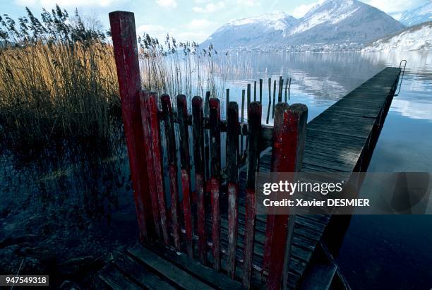Le lac d'Annecy, Haute-Savoie, Alpes, France. Une réglementation strict a été mise enplace pour la protection du site et des roselières. Le...
