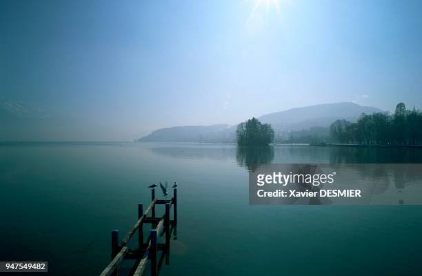 France, Haute-Savoie, Le lac d'Annecy, Haute-Savoie, Alpes, France. Le lac d'Annecy en hiver a retrouvé son calme. Au fond, l'Ile aux Cygnes au bord...