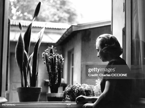 Femme s'occupant de ses plantes à la fenêtre de sa maison en France.