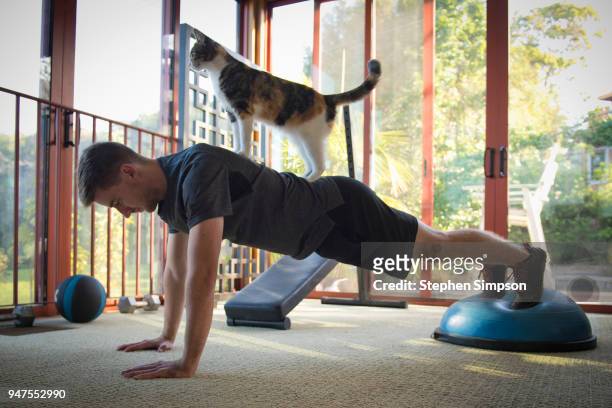 young man exercise with cat on his back - chat rigolo photos et images de collection