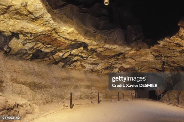 Peintures rupestres dans une grotte du parc national de la Vanoise, en Savoie, en France.