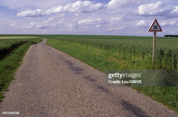 FRANCE EURE MOIS DE JUIN PETITE ROUTE DE CAMPAGNE PANNEAU ROUTIER DE CROISEMENT CIEL NUAGEUX D ETE CHAMPS DE BLE VERT FRANCE EURE MOIS DE JUIN PETITE...