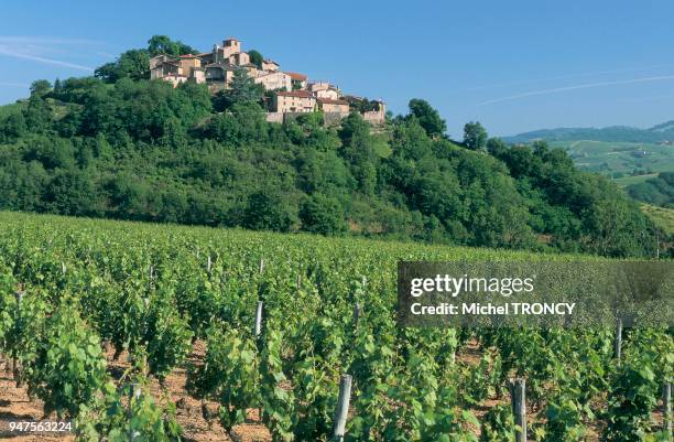 Ternand 11 Ternand Stock Photos, High-Res Pictures, and Images - Getty Images
