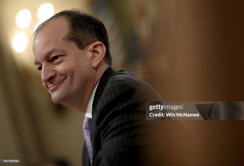 Labor Secretary Alexander Acosta Testifies At House Hearing On Jobs Gap