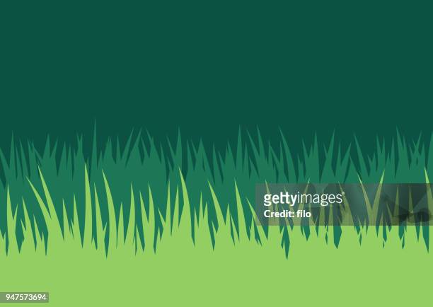 ilustrações de stock, clip art, desenhos animados e ícones de grass lawn background - savanah landscape