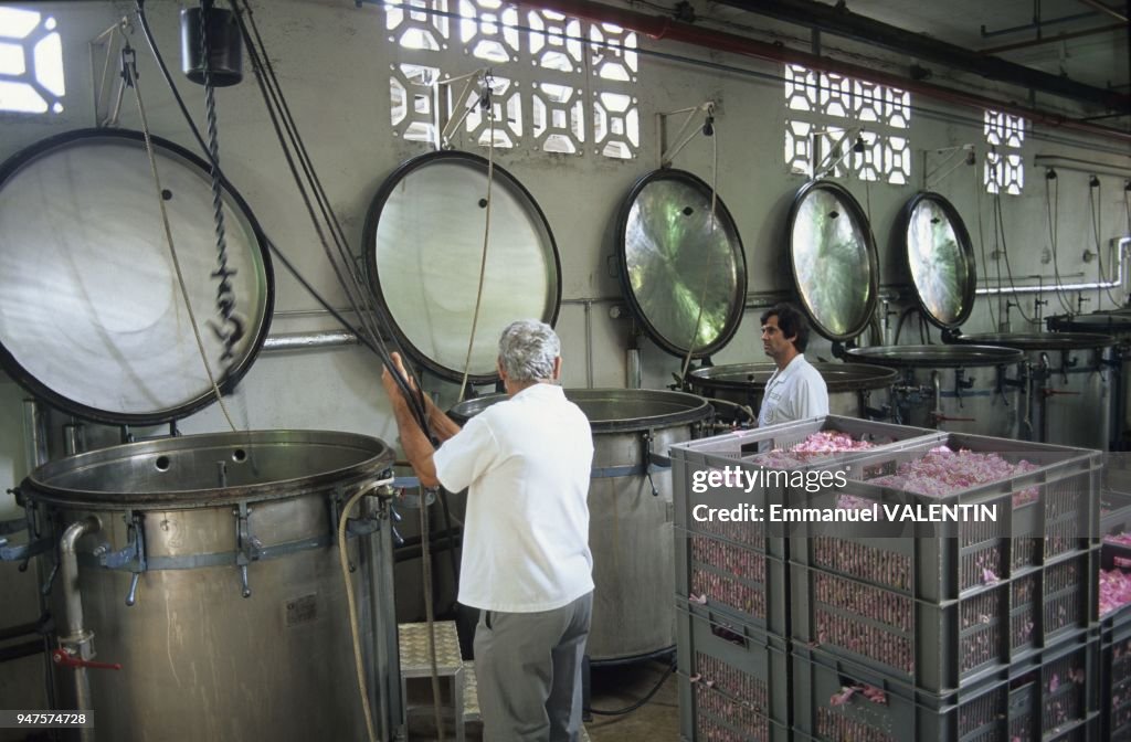 CUVES D'EXTRACTION CHEZ LE PARFUMEUR ROBERTET, GRASSE, FRANCE