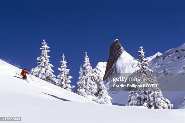 Parc nat Vanoise, au fond, l'Aiguille de la Vanoise pres de Pralognan, Savoie MR off piste in Pralognan ski resort, north alps mountains, France, MR.