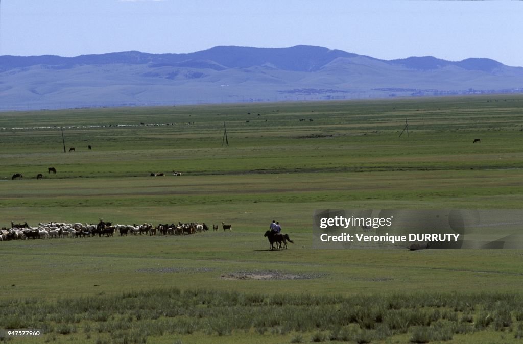Scene Of Nomadic Life, Ovorkhangai, Mongolia