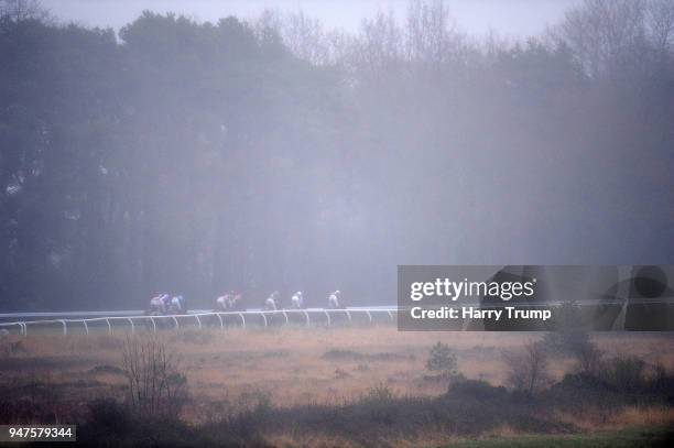 Exeter Raceway 3,188 Exeter Racecourse Stock Photos, High-Res Pictures, and Images ...