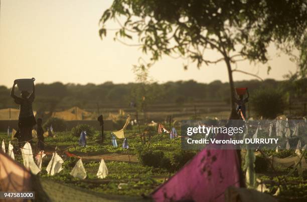 Morfil Photos and Premium High Res Pictures Getty Images