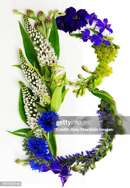 Spring Letra B 3,170 Spring Alphabet Stock Photos, High-Res Pictures, and Images ...