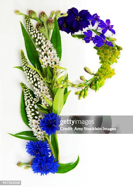 Spring Color Letter P 3,170 Spring Alphabet Stock Photos, High-Res Pictures, and Images ...
