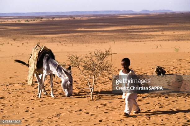 Enfant sur le site de Méroé, Soudan.