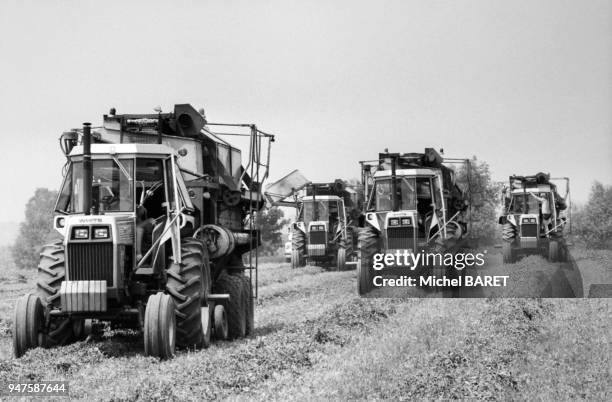 Tracteurs dans un champ de petits pois dans l'Illinois, Etats-Unis.