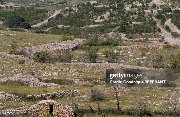 FRANCE, REGION DES CORBIERES, FITOU, VESTIGES LITHIQUES, CABANE.