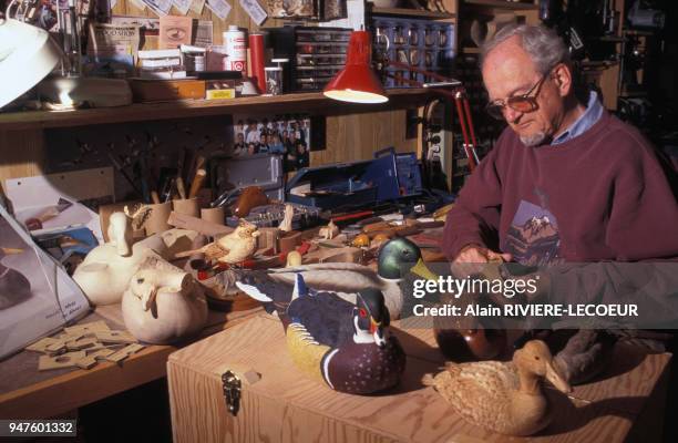 Menuisier fabriquant des canards en bois dans son atelier, dans l'Ontario, Canada.