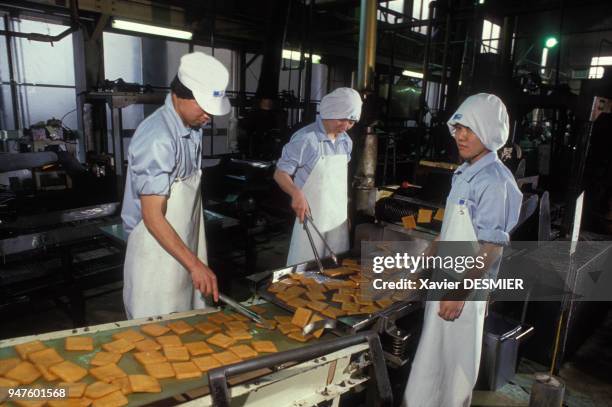 Grillage des Kamabokos dans une usine de surimi au Japon.