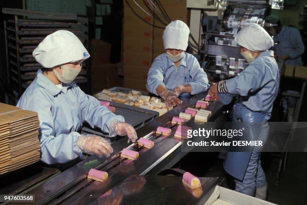 Emballage des Kamabokos dans une usine de surimi au Japon.
