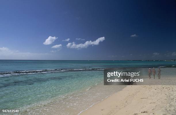 SEVEN MILES PLAGE, GRANDE ILE CAIMAN, ILES CAIMANS.