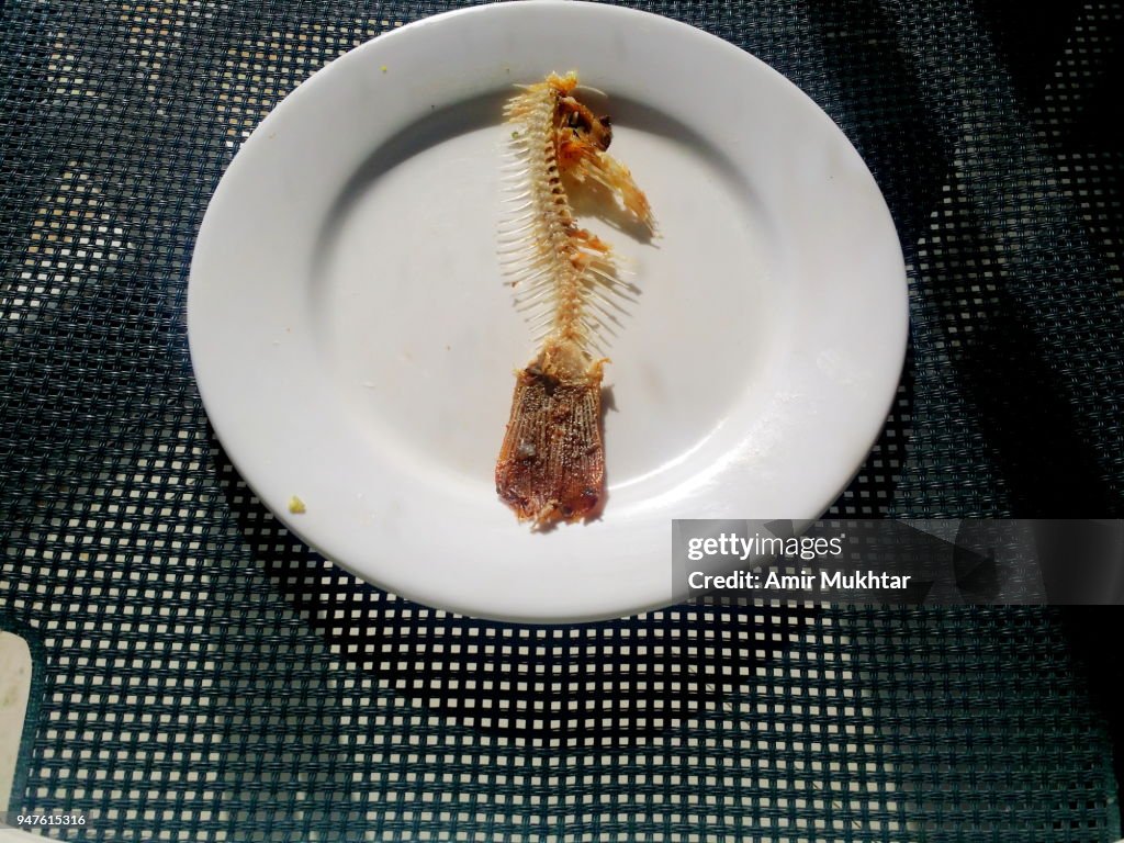 Skeleton of Tapatia fish after eating on a chair with its textures created by sunlight