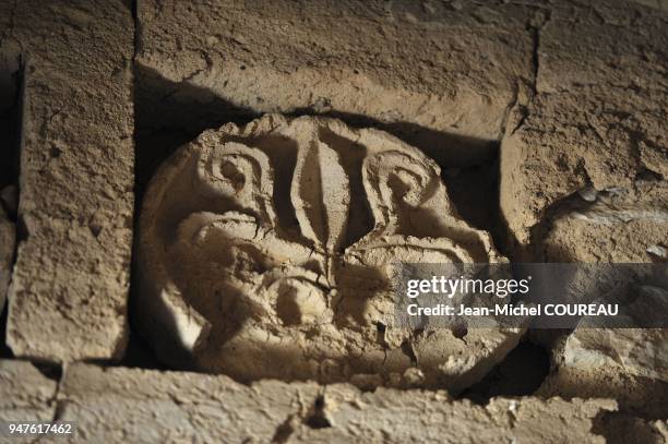 Detail of construction in this castle of the desert : Lily flower.