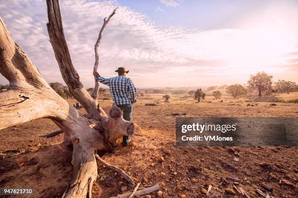 fermier de l’outback australien - bush australien photos et images de collection