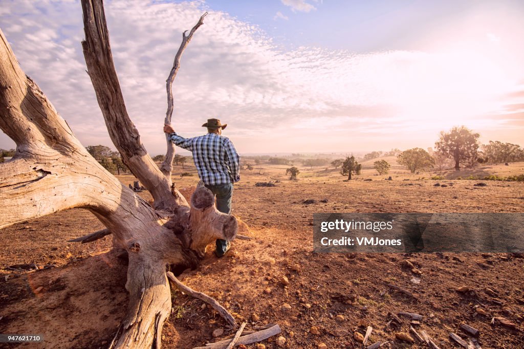 Australische Outback boer