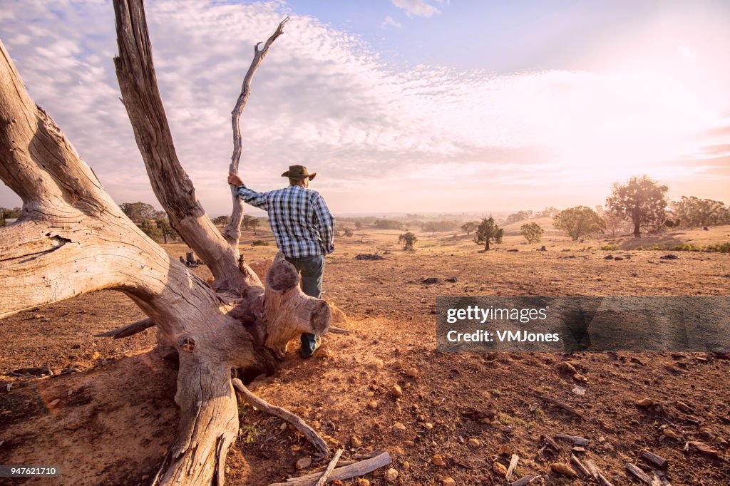 Australian Outback Farmer