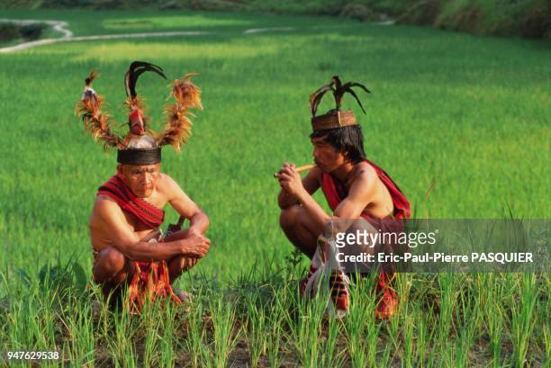 Two Ifugao men, squatting in their rice paddies, wearing traditional dress and playing the flute. Their ancestors started cultivating these rice...