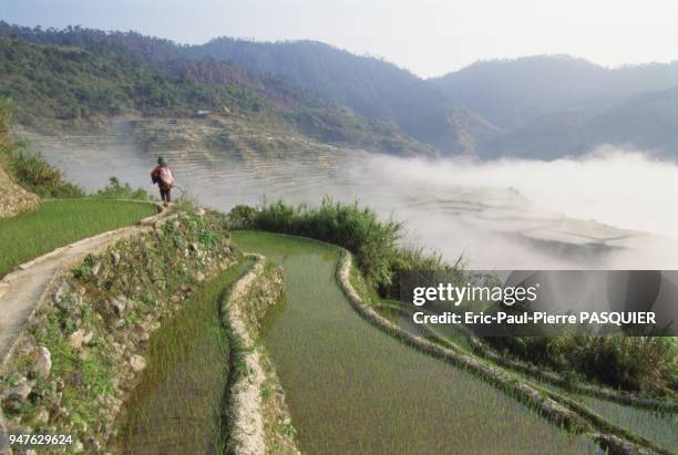 The Headhunters of Banaue.