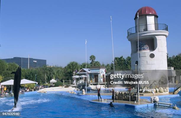 Sea World, Orlando, Floride, Amerique du Nord.