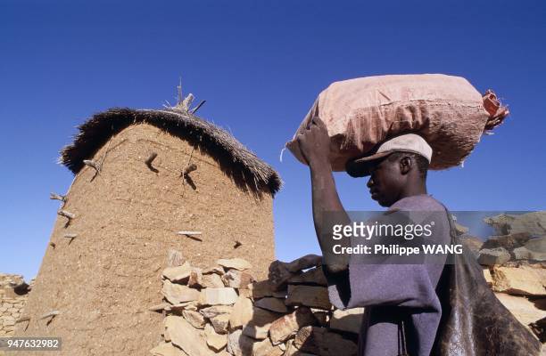 Grenier a Cereales, Pays Dogon, Mali, Afrique.