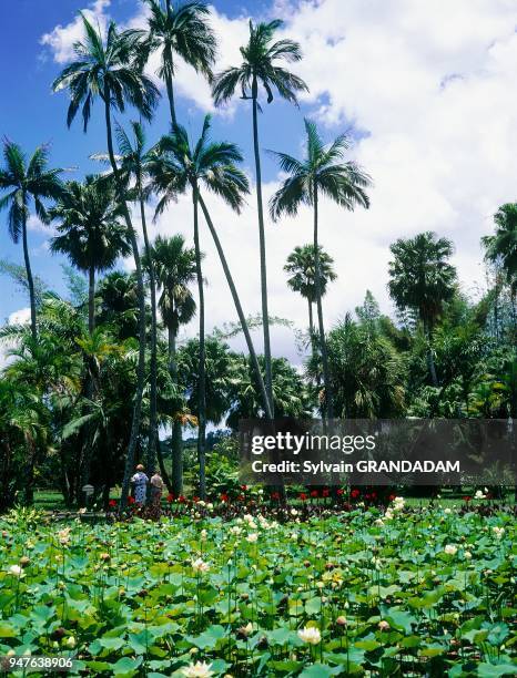 Mauritius, Indian Ocean, Nachrichtenfoto