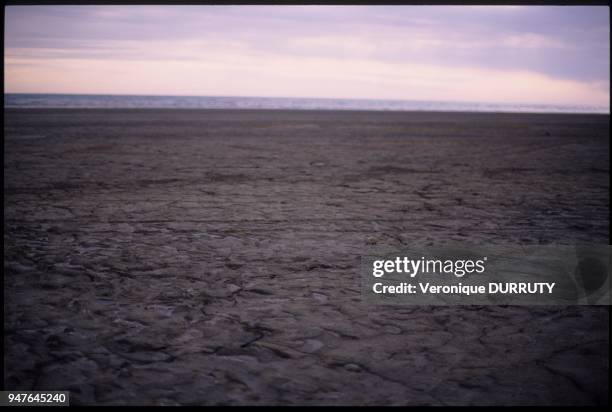 Le rivage de la mer d'Aral. Ouzbekistan. Situé dans les années 60 à Moynek un port de pêche actif, il faut maintenant faire plus de 3 heures de route...