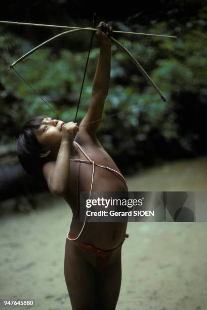 Indien Yanomami de la tribu Majecodoteri tirant à l'arc, au Vénézuela en février 1980.