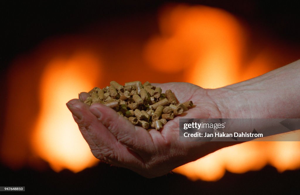 Human hand with pellets in front of fireplace