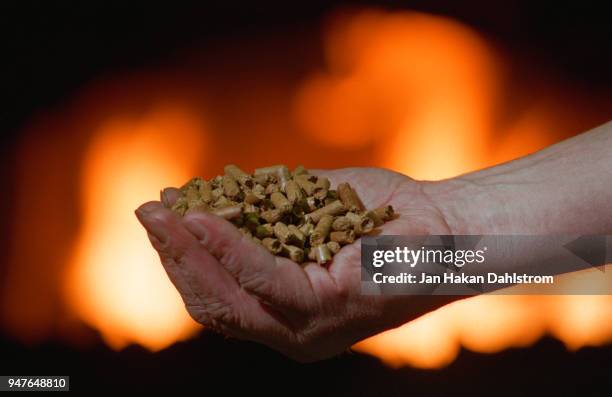 human hand with pellets in front of fireplace - granulat stock-fotos und bilder