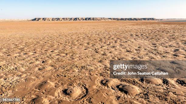 sahara desert in western sahara - western sahara stock pictures, royalty-free photos & images