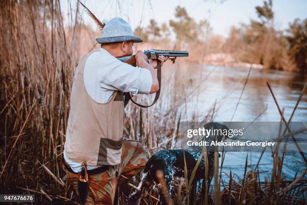 hunter with his dog hiding in the reed waiting for action - hobby bird of prey stock pictures, royalty-free photos & images