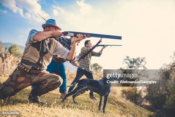 group of hunters with their dogs in action - hobby bird of prey stock pictures, royalty-free photos & images