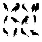 Set of parrot silhouette icons in flat style