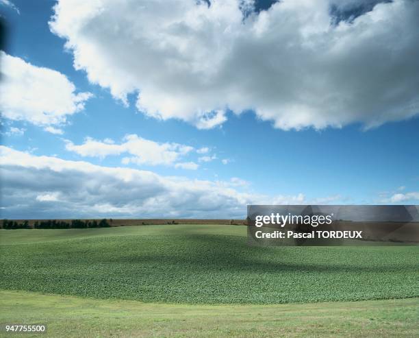 Octobre en Picardie, bientot la récolte des betteraves. Octobre en Picardie, bientot la récolte des betteraves.