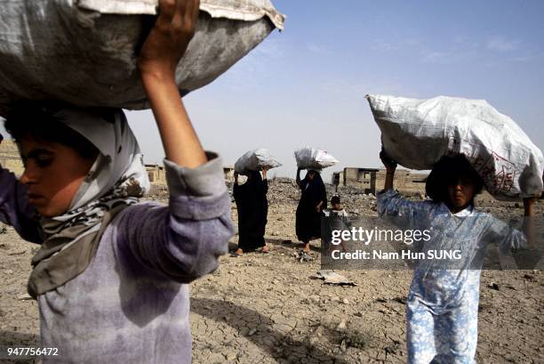 The inhabitants of this district have found wood cases which were used for arms and are taking them as firewood for heating and to cook. Gas and...