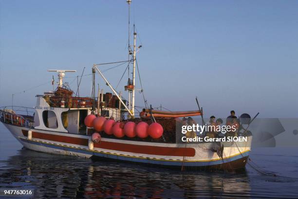 Pêcheurs remontant les filets sur un chalutier dans la mer Méditerranée.