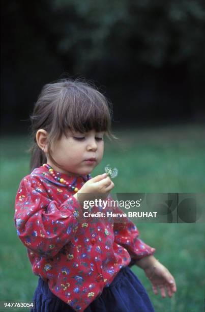 Petite fille souflant l'aigrette d'une fleur de pissenlit.