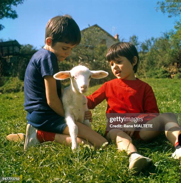 Enfants avec un agneau, circa 1970, France.