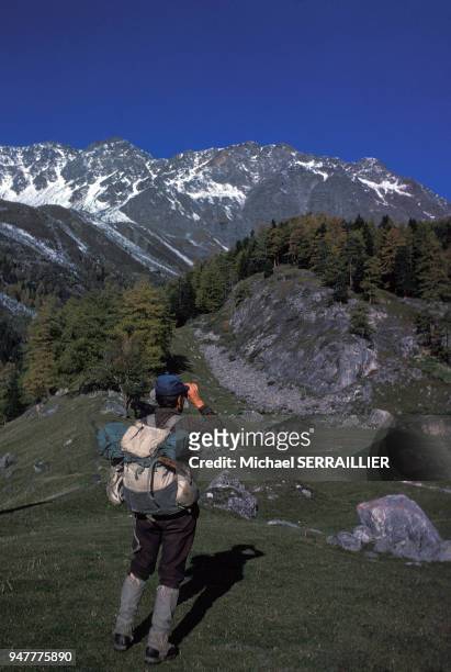 Garde du parc national de la Vanoise observant les montagnes, en Savoie, France.